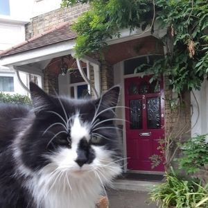 Meet your Posher, Coco